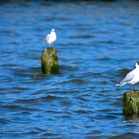 Σπίτι διακοπών Comfortable *