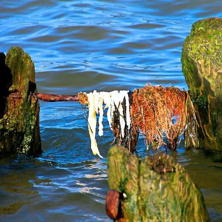 Σπίτι διακοπών Comfortable *