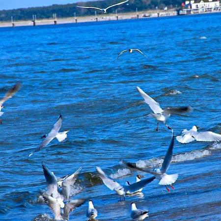 Comfortable Σπίτι διακοπών *